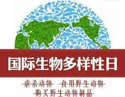 国际生物多样性日