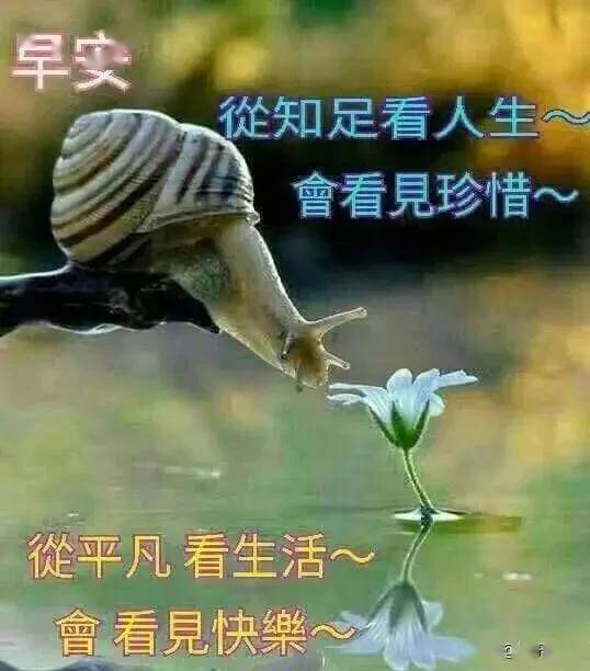 懂得知足,人生常乐,心态好,则一切都好!早安