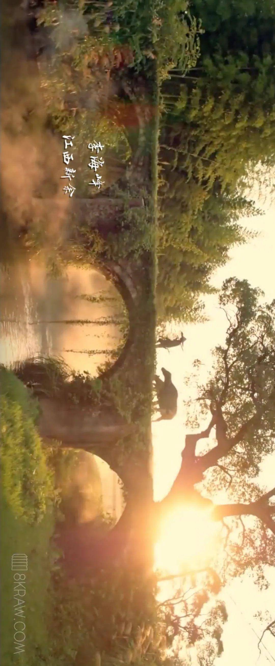 99.99%的司机都想自驾去这些地方！