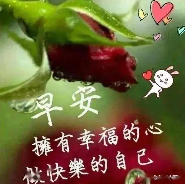 美丽的清晨,美丽的你,亲爱的,早上好