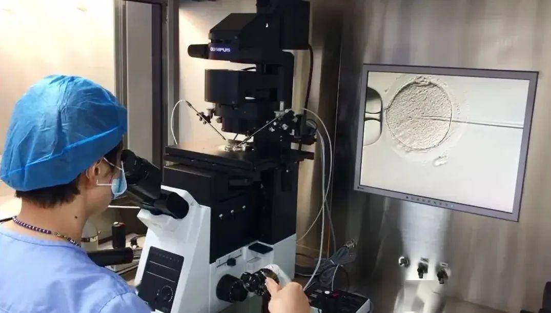 解锁生命科学奥秘好奇宝宝就藏在奥林巴斯显微镜下