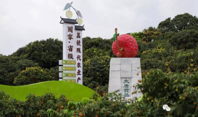 2020茂名高州荔枝文化节盛大开幕 袁隆平院士祝福高州