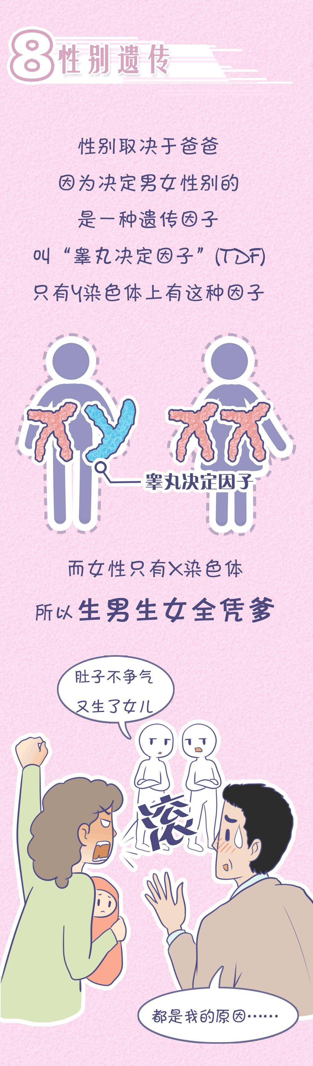 “女儿像爸，儿子像妈”？孩子智商究竟遗传谁？太准了……