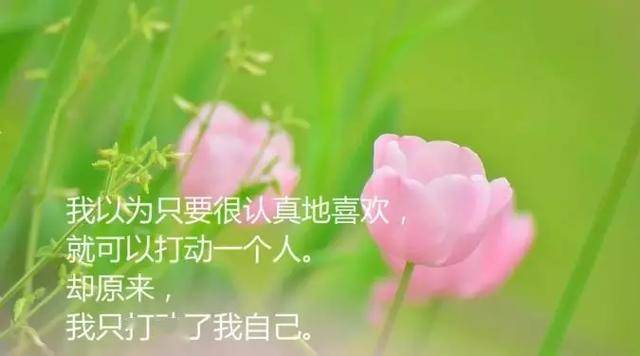 ac6af3db635143a8a071f15ac68c5e7d.jpeg