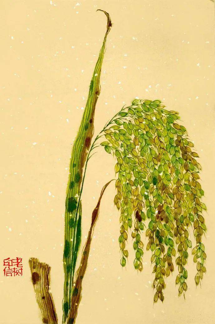 老树画画:江湖这么大,其中有鱼虾,其中开莲花,还有大王八