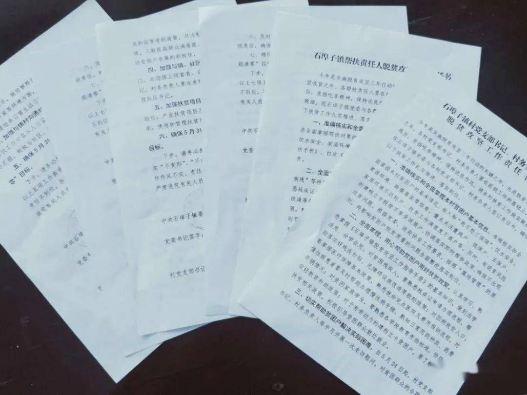 埠子人口(2)