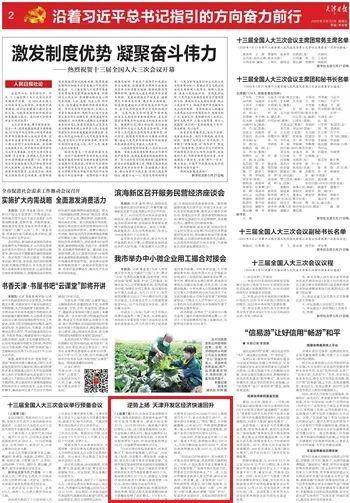 泰达gdp