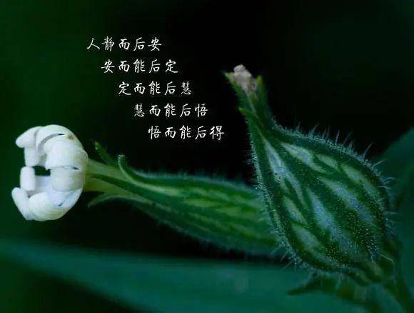不管你身在何方,位居何处,做人,都要心存善念.