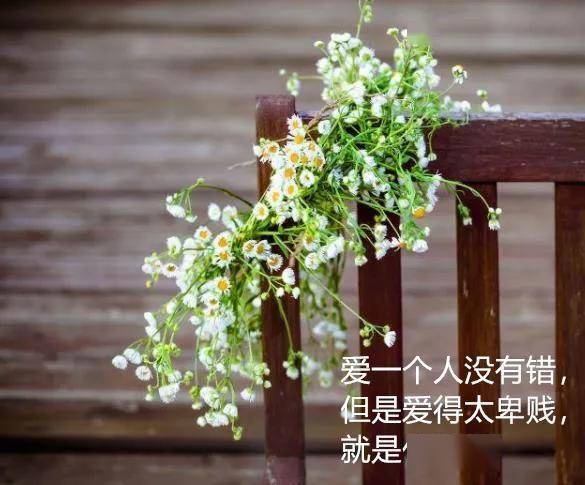 不要争执,不要斗气,好好说话,相互理解,善待亲人,朋友,早安
