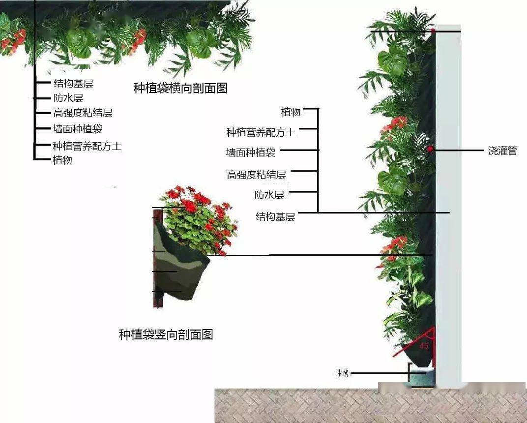 美好的生活 | 每个人,都梦想拥有一面绿植墙_植物