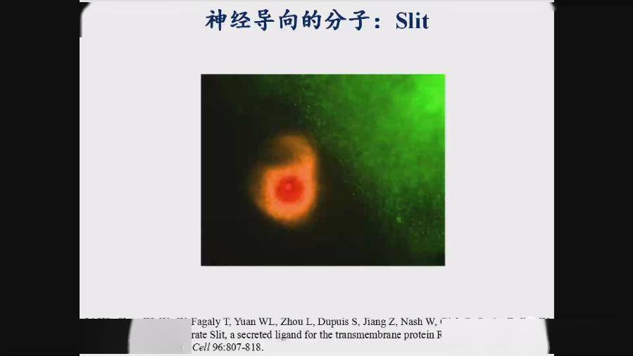 科学物理化学生物 662ede50d36448d9b54c7fcccfad3d8b.jpeg