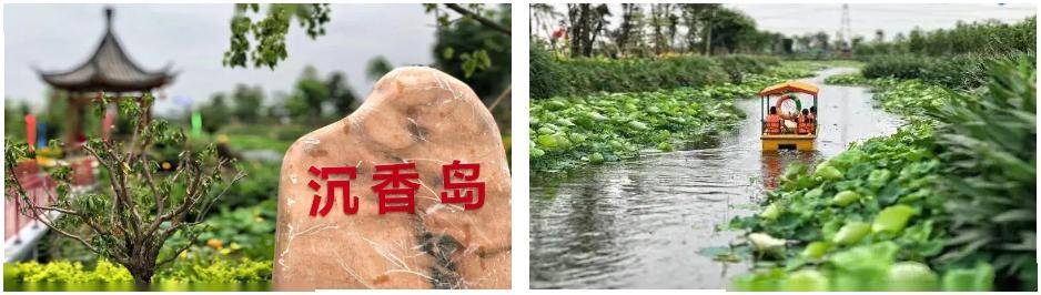 文章配图-24