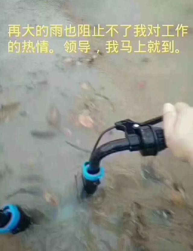 好啦,快睡吧~ 明天也要努力搬砖(工作)呀!