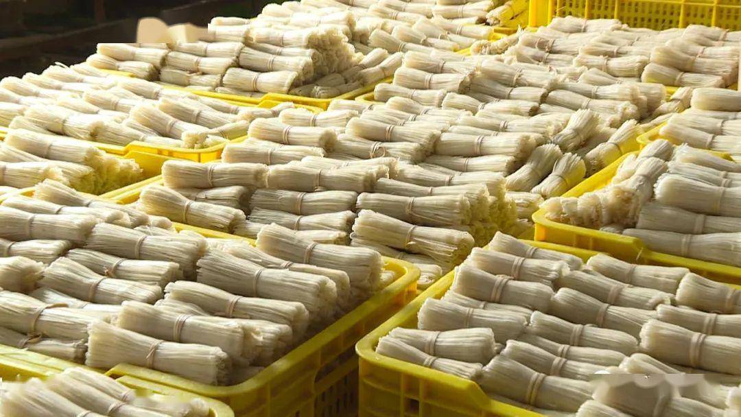 融媒助力复工复产速围观三堡米粉从谷儿米到米粉的华丽蜕变