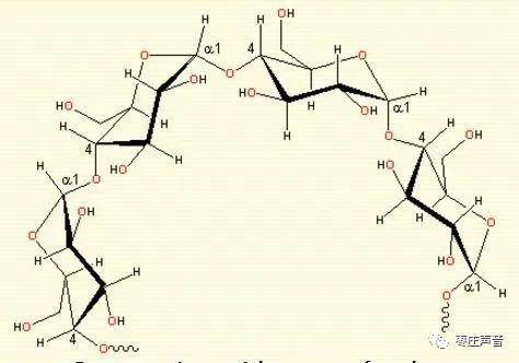 分子呈一条直线的为直链淀粉,分子有多个分支的名支链淀粉