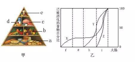 22d12dd47a214c8aadf4fd822190156f.jpeg