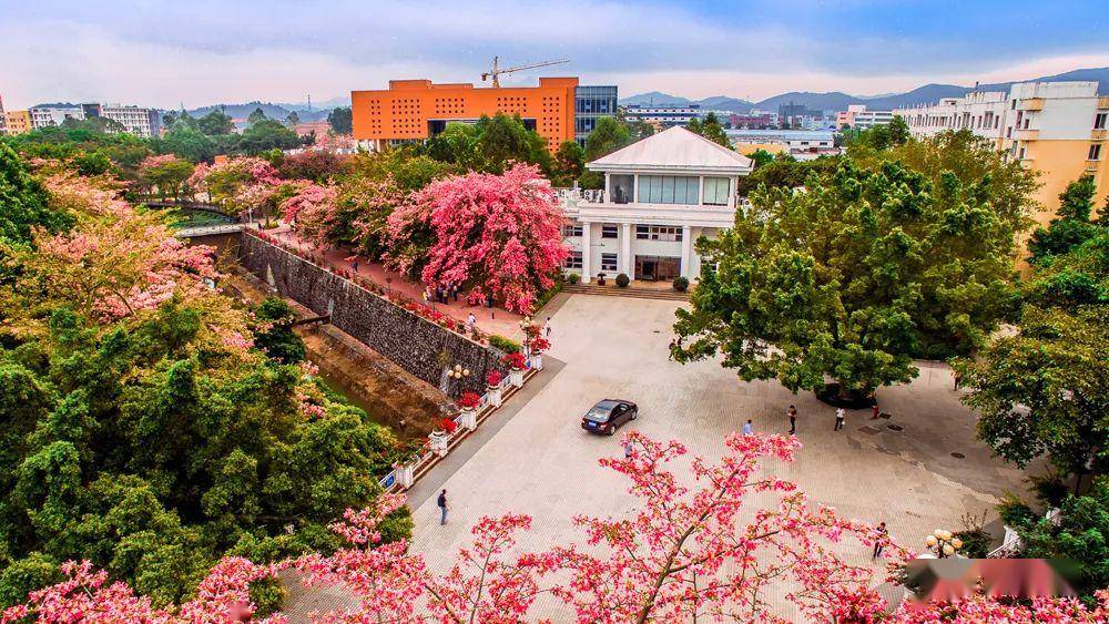 广东青年职业学院