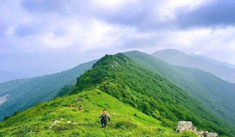 【登山1日游69元】5月30日东秦岭之巅 寻梦源草链岭1日游