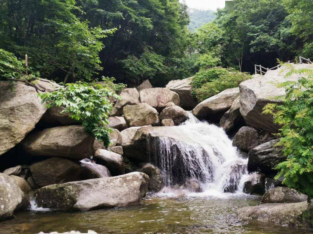 【关注】免门票!嵩县木札岭向全国游客实行优惠政策!更有