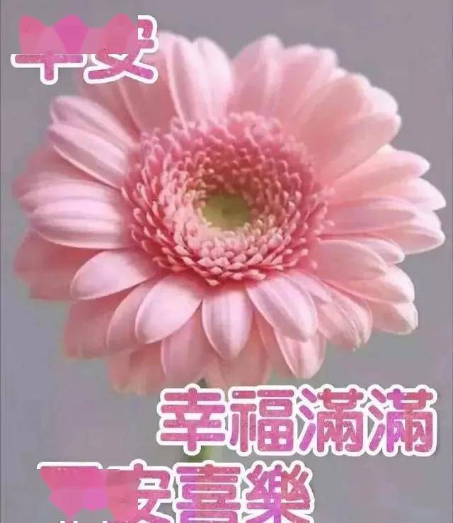 怎么样才能让自己不生气不在乎 d4f3963cedad4848b983e18a6186ee5d.jpeg