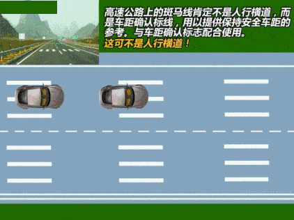 07edd15ae2c74d8fbc6016c248e95db5.gif