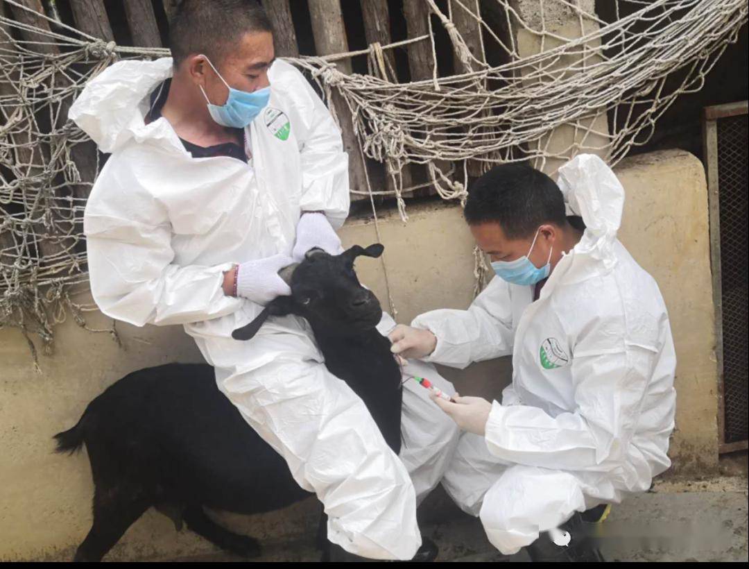 贵安新区2020上半年G_雄安新区(2)