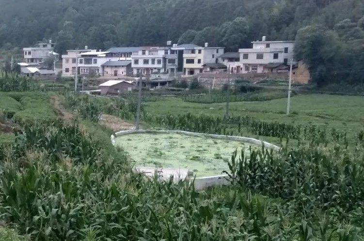 党坝乡人口_人口普查