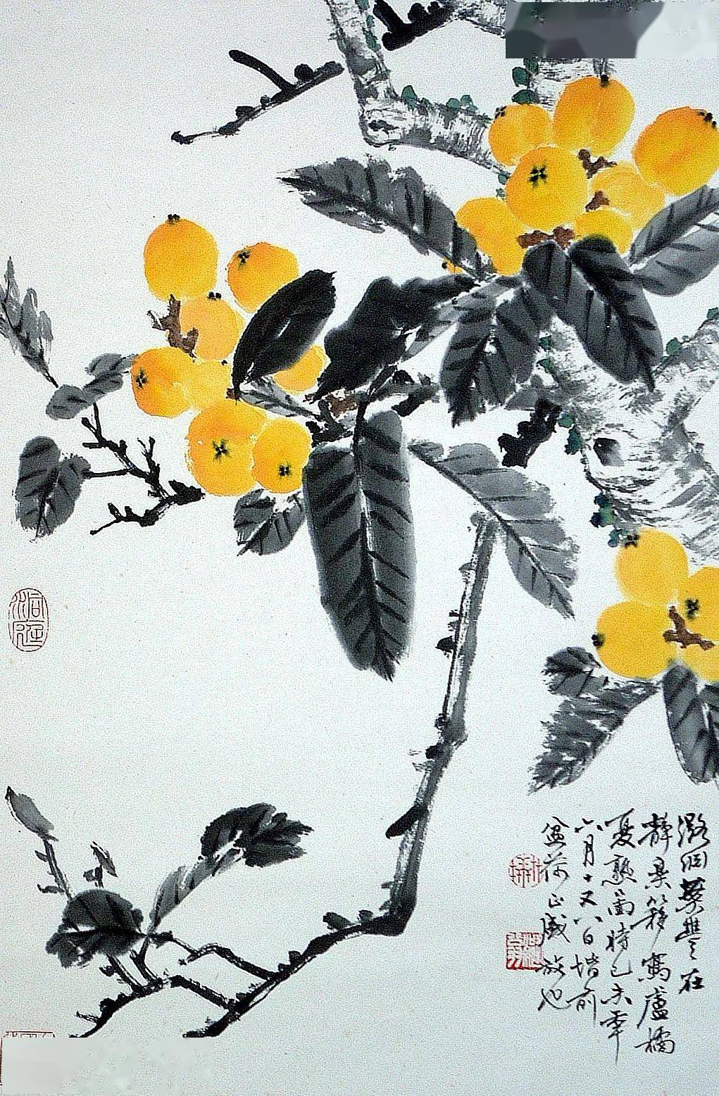 画中识物 | 初夏枇杷一树金——上海中国画院名家笔下的那些枇杷