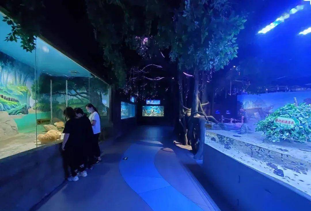 迷幻丛林场馆内划分为十大展区阳泉海洋世界儿童节快乐!