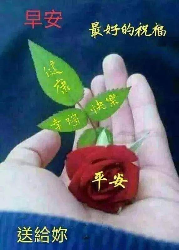 7张早上好祝福语图片推荐,早安图片带字带问候语