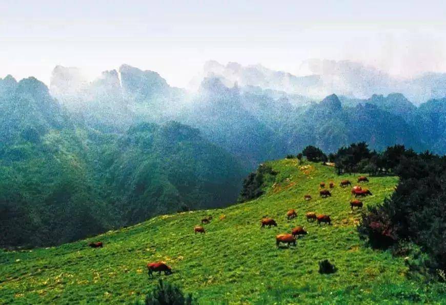 山西晋城沁水县gdp_山西沁水县地图(3)