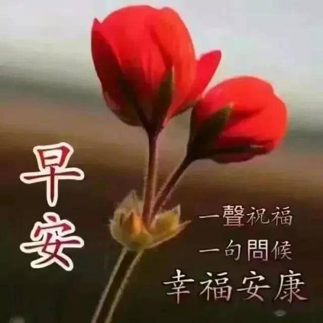 cb011ff47b8a4645aa139072ff71f801.jpeg