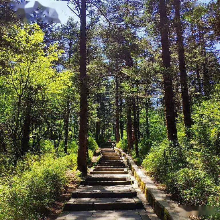 峨眉山风林月山庄观山海日出