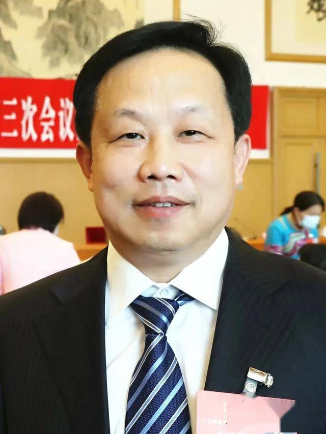 全国人大代表, 湖南省长沙市雅礼中学校长 刘维朝 "凡拉拢,诱迫未成年