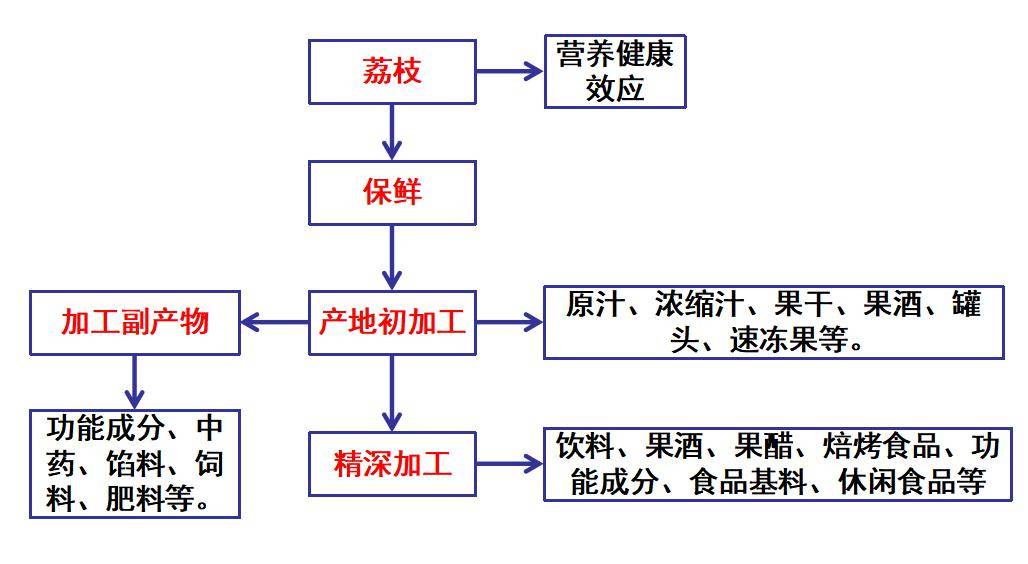 农产品加工研究所副所长吴继军研究员表示,随着我国荔枝产业链不断