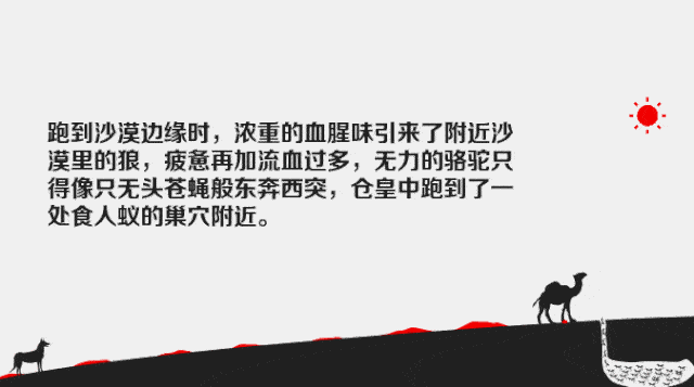 fff4b97736024122a707ee8f1c6a0fa1.gif