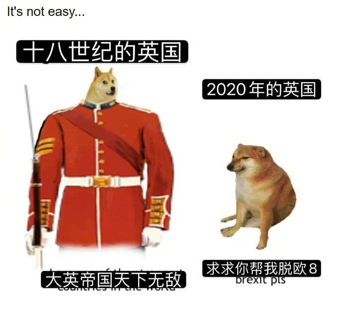 0e35d10cf06b483f81676c860a276448.jpeg