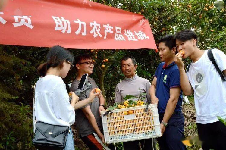 慈利:社区电商平台"十里团"直播带货扶贫助农解难题