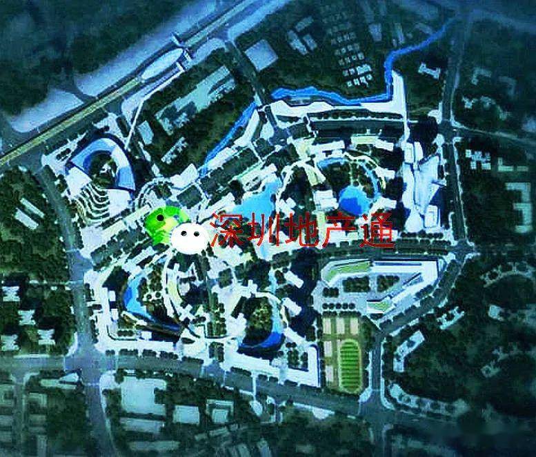抢占木棉湾湾,你拿下旧改地6万,他12万,哼…我更大 32