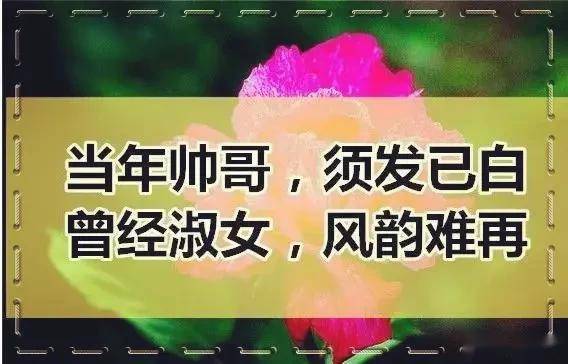 75d8d1d98374424c8f4d2d03183b6e7a.jpeg