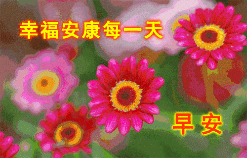 2020早上好表情动态图片带字和鲜花,早上好问候祝福动态图片