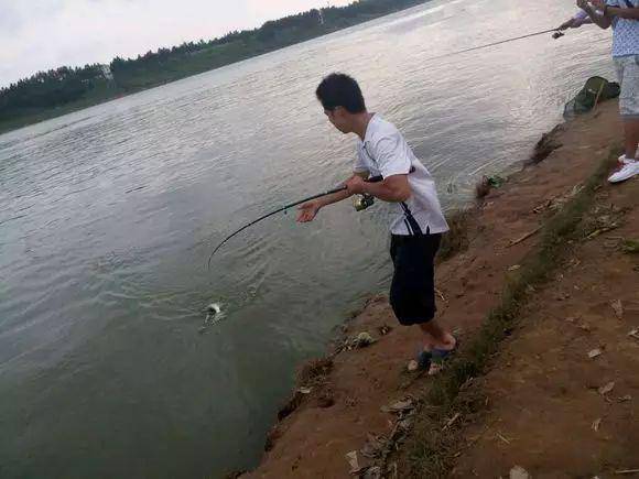 ecccff0803e74000a3fcfddadeb6e11c.jpeg