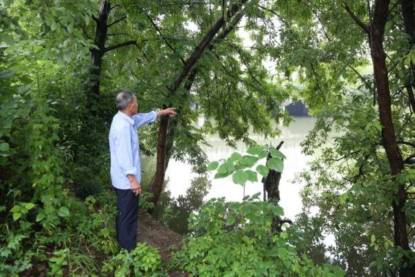 71岁老伯从河里救起200斤溺水老太太！事后他说了