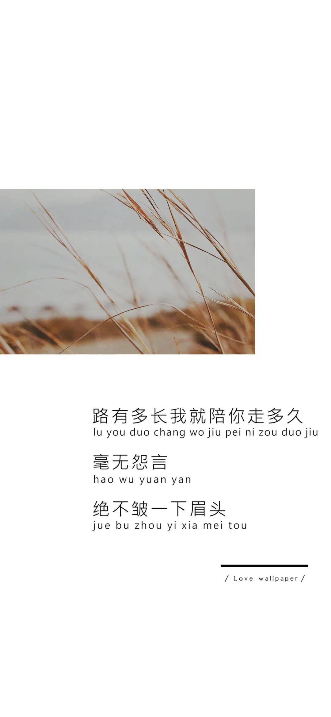 00d7d2003bbf44bd88585cc7e6da0872.jpeg