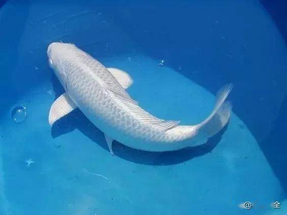 ����5��Ʒ�ֽ���