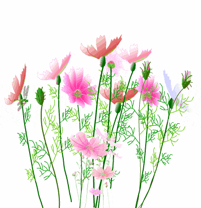 说太好了,谁看谁开心!