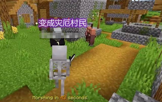 我的世界怎么变身 de6ece721acb4928943a198083caed1a.jpeg