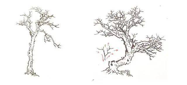 国画技法树木的画法步骤与作品欣赏