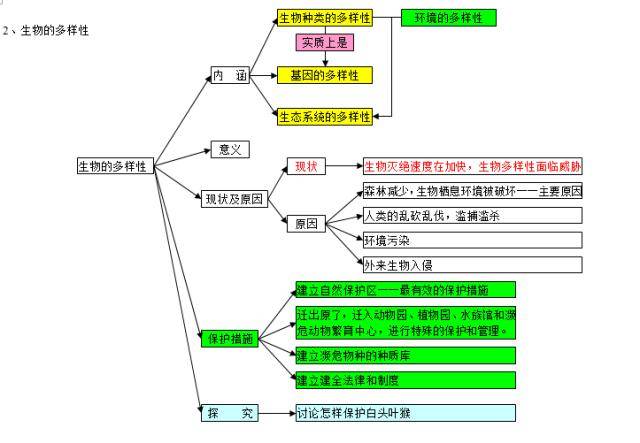 免费领资料:初中生物知识点——思维导图22页可编辑版