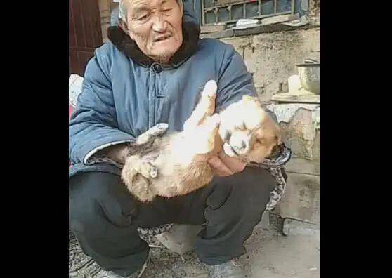 皱眉头嫌弃表情 0366cde7a5c34871ab63753a8e315798.jpeg